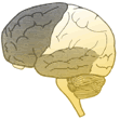 Hemisphären-Synchronisation durch Binaural Beats.